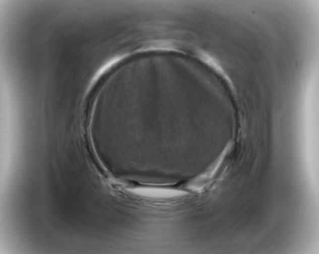X0000086051312200704091202