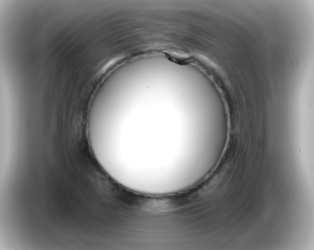 X0000086051313200704091202