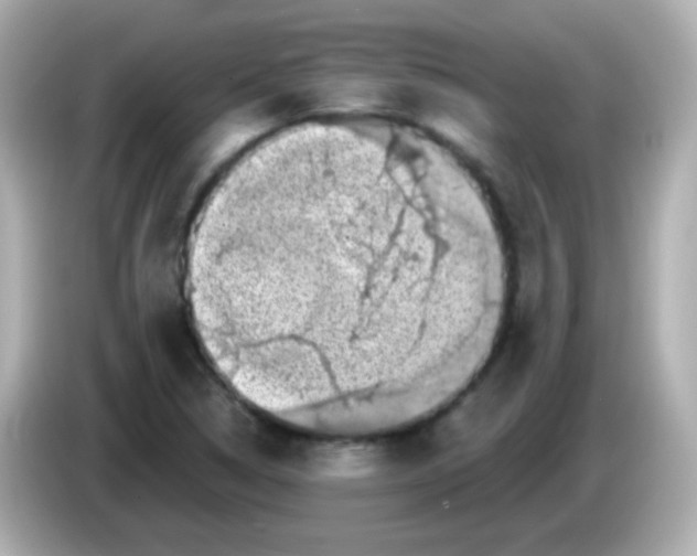 X0000086051314200704091202
