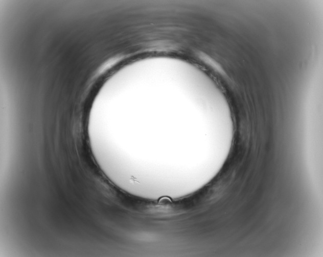 X0000086051315200704091202