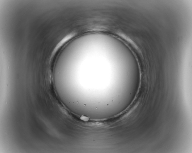 X0000086051317200704091202