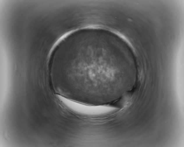 X0000086051319200704091202