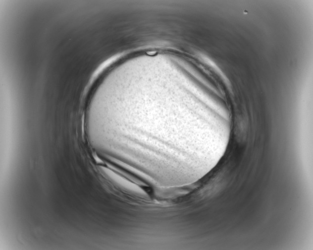 X0000086051320200704091202