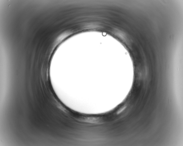 X0000086051322200704091202