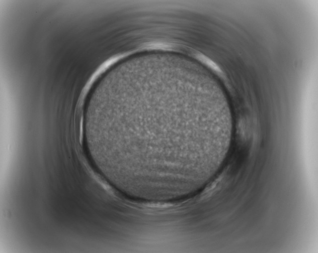 X0000086051323200704091202