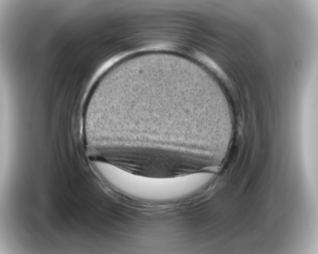 X0000086051324200704091202
