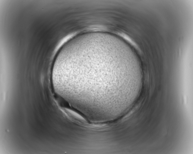 X0000086051325200704091202