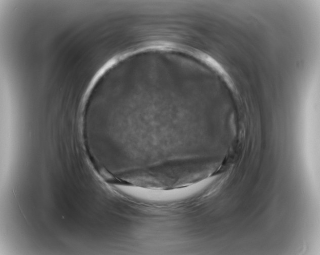 X0000086051326200704091202