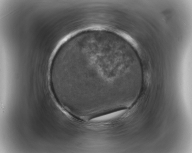 X0000086051327200704091202