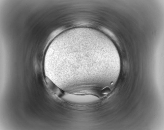 X0000086051330200704091202