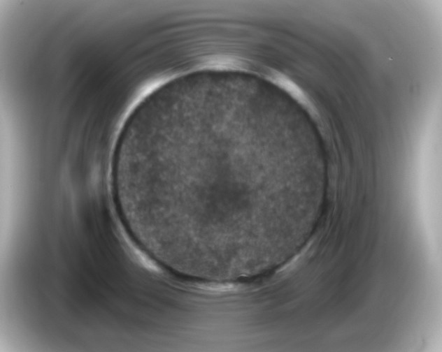 X0000086051331200704091202