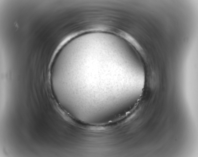 X0000086051332200704091202