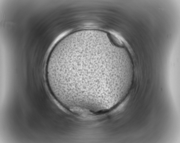 X0000086051333200704091202