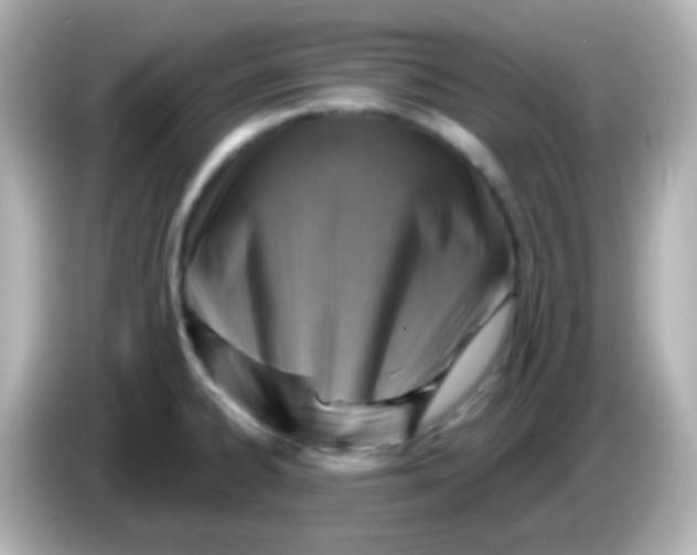 X0000086051334200704091202