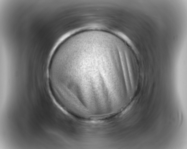 X0000086051335200704091202