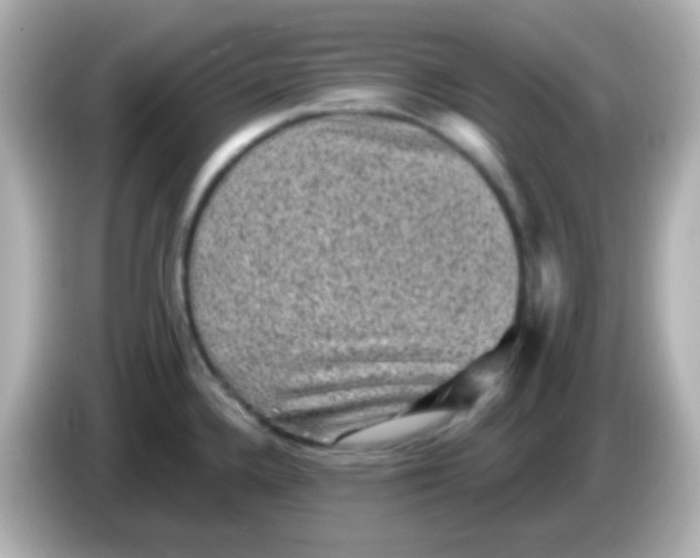 X0000086051336200704091202