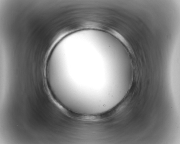 X0000086051339200704091202