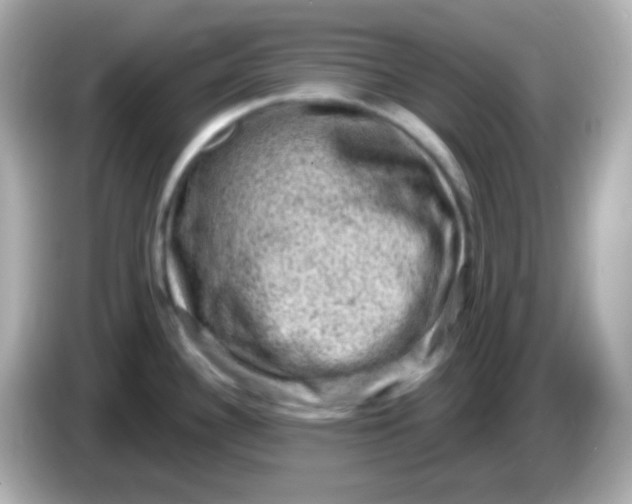 X0000086051340200704091202