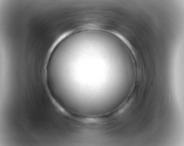 X0000086051341200704091202
