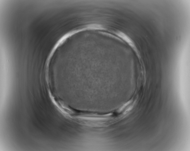 X0000086051342200704091203