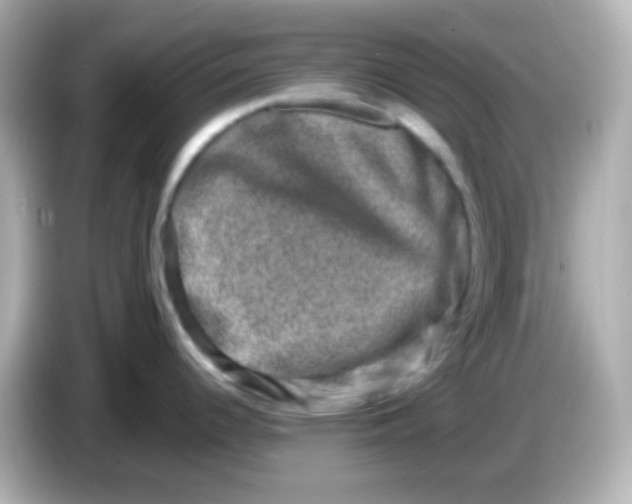 X0000086051344200704091203