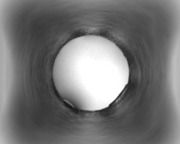X0000086051345200704091202
