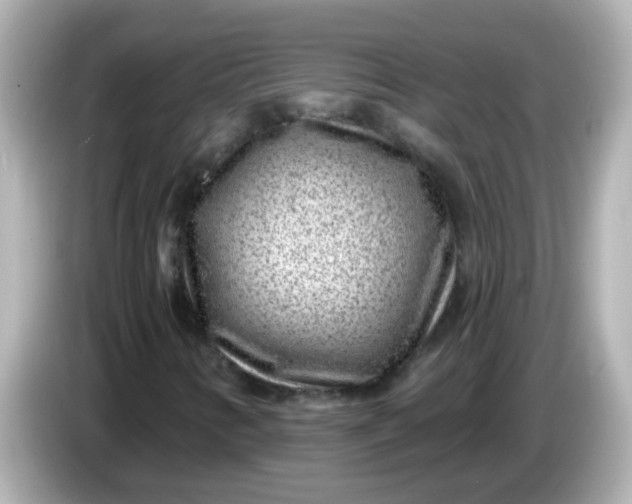 X0000086051346200704091202