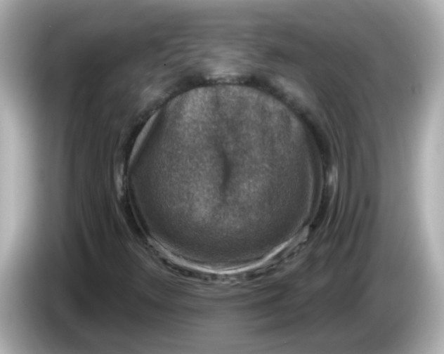X0000086051348200704091202