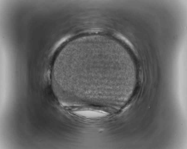 X0000086051352200704091202