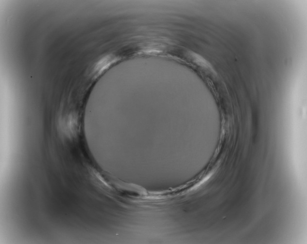 X0000086051353200704091202