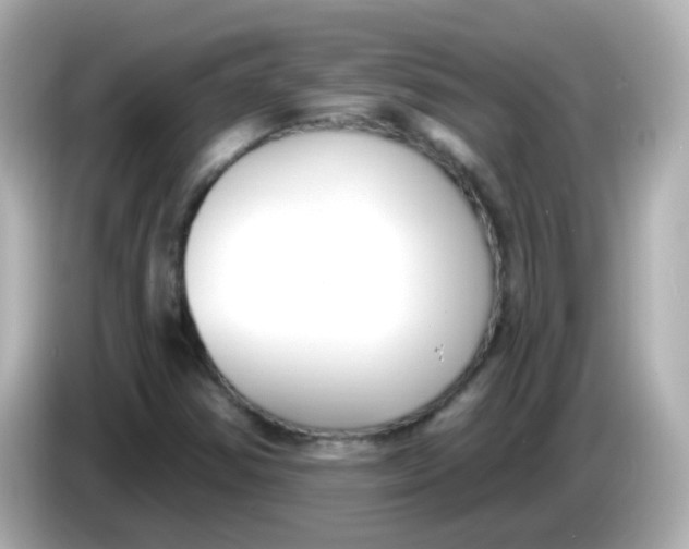 X0000086051354200704091202