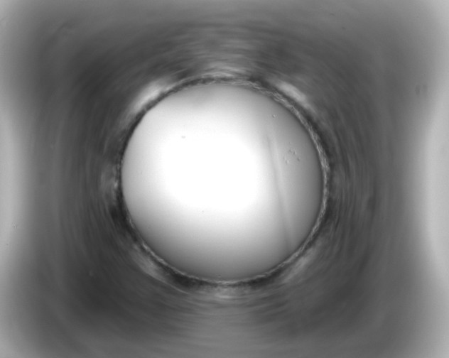 X0000086051355200704091202