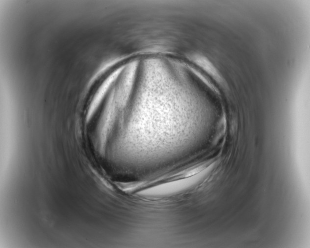 X0000086051356200704091202