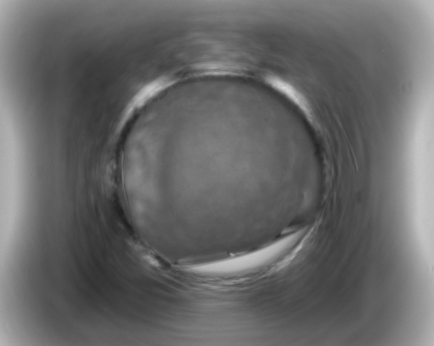 X0000086051357200704091202