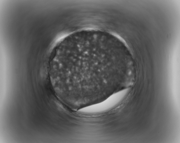 X0000086051359200704091202