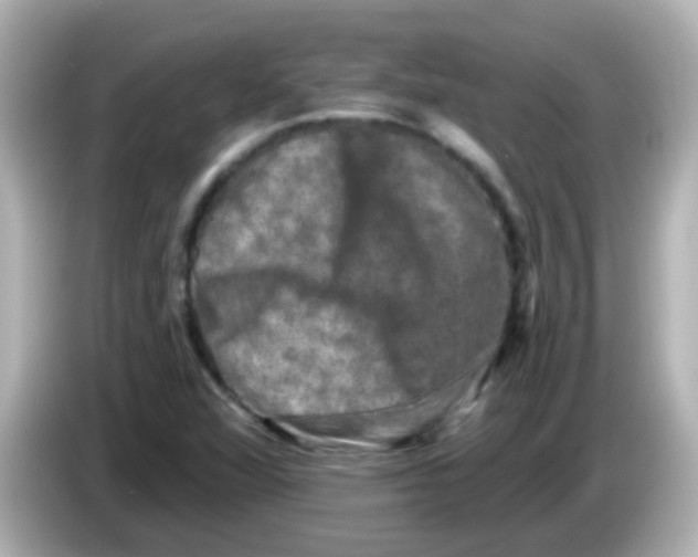 X0000086051360200704091202
