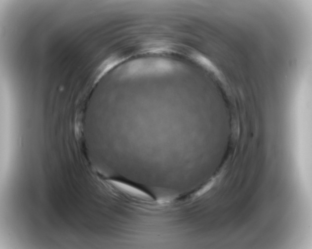 X0000086051361200704091202