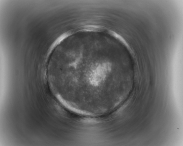X0000086051362200704091202