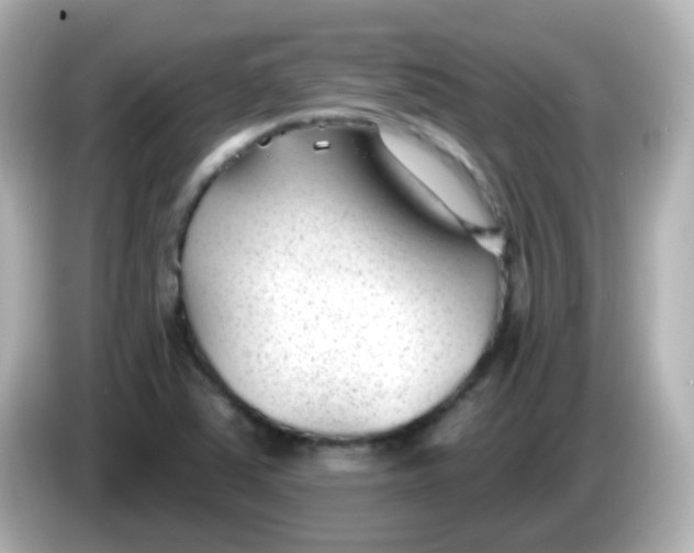 X0000086051363200704091202