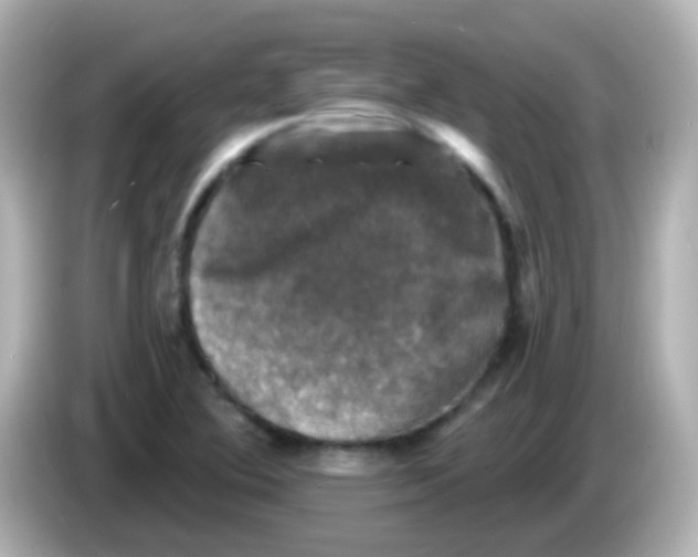 X0000086051364200704091202