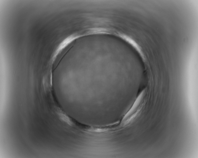 X0000086051365200704091202