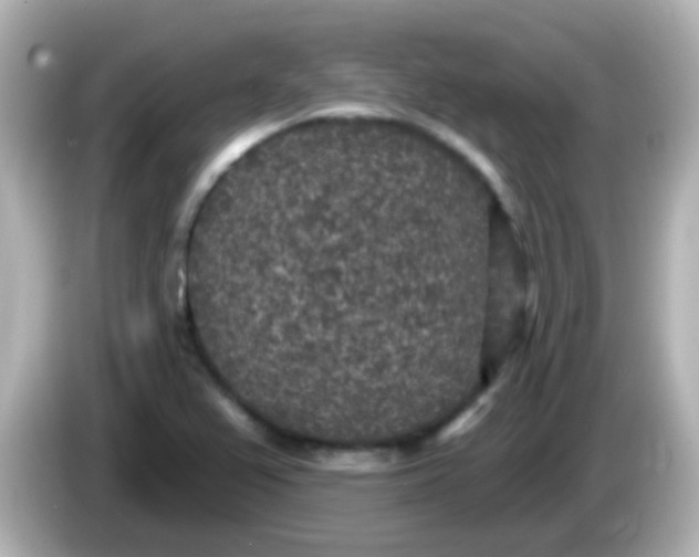 X0000086051367200704091202