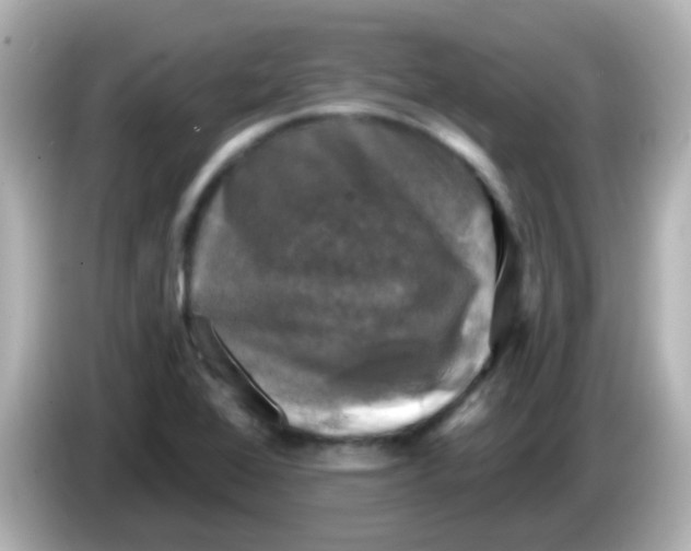 X0000086051368200704091202