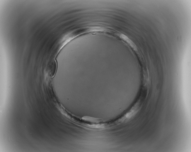 X0000086051369200704091202