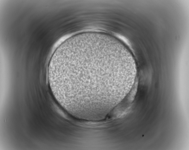X0000086051371200704091202