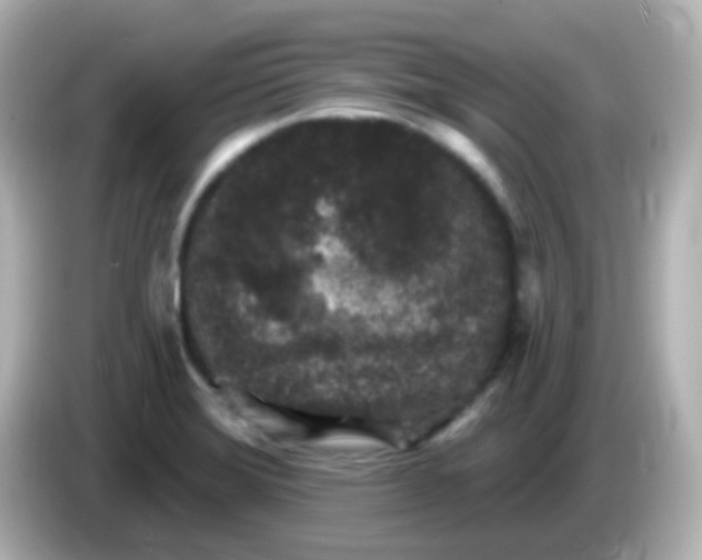 X0000086051372200704091202