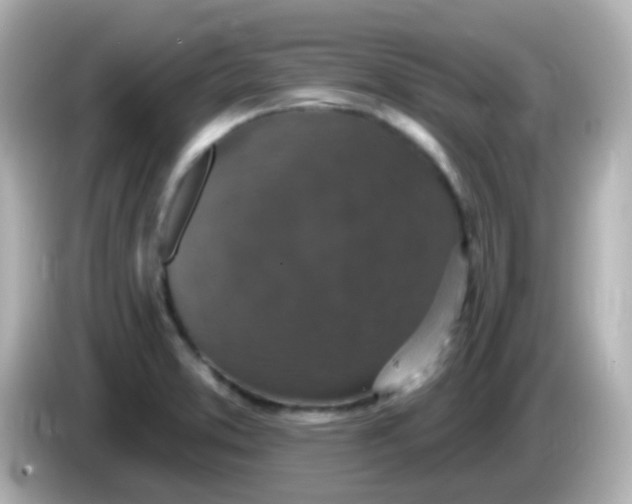 X0000086051373200704091202