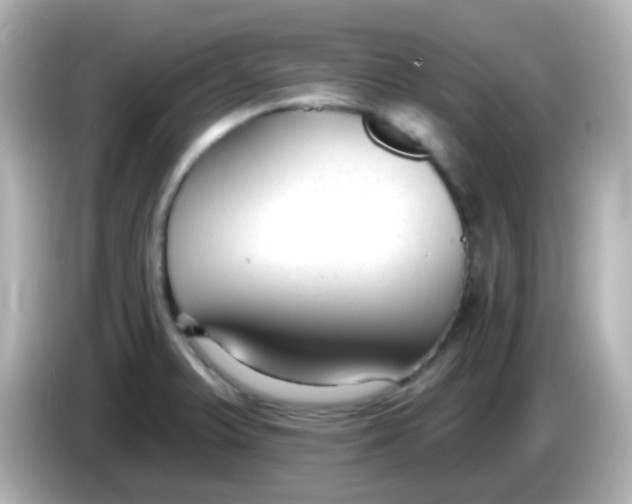 X0000086051375200704091201