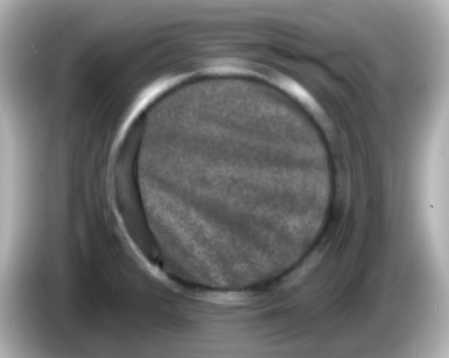 X0000086051376200704091201