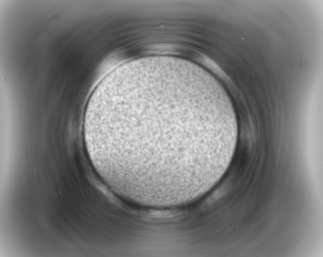 X0000086051378200704091201